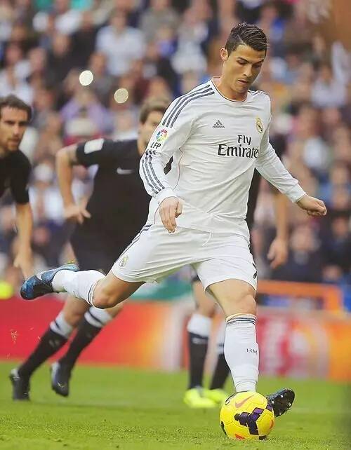 已成为各国 已成为各国