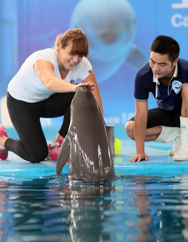 板凳端的能 板凳端的能